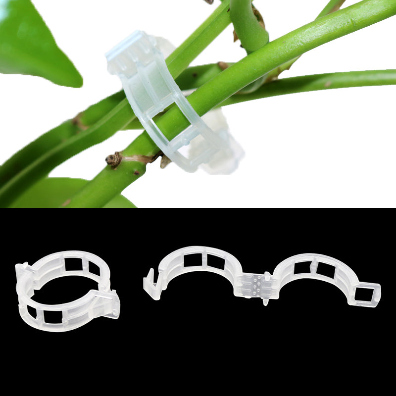 Online Planet PlantClip™ – Pflanzenclips für Tomaten, Rosen & Kletterpflanzen (50 oder 100 Stück)